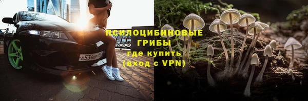 гашик Алексин