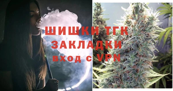 тгк Алзамай
