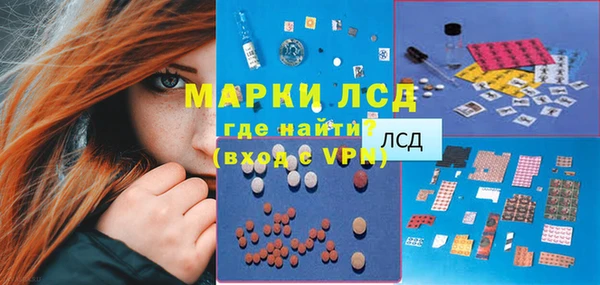 тгк Алзамай