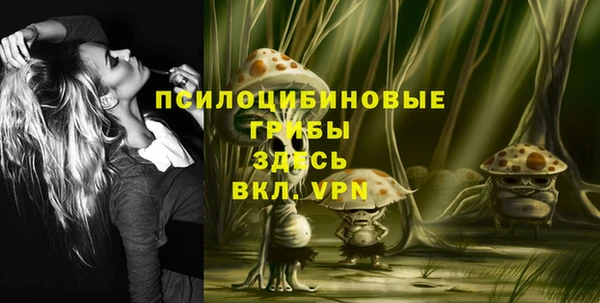 гашик Алексин
