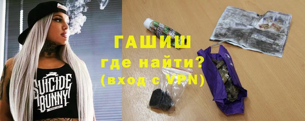 гашик Алексин