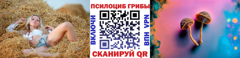 Галлюциногенные грибы Psilocybe  мориарти официальный сайт  Медынь  ОМГ ОМГ как войти 